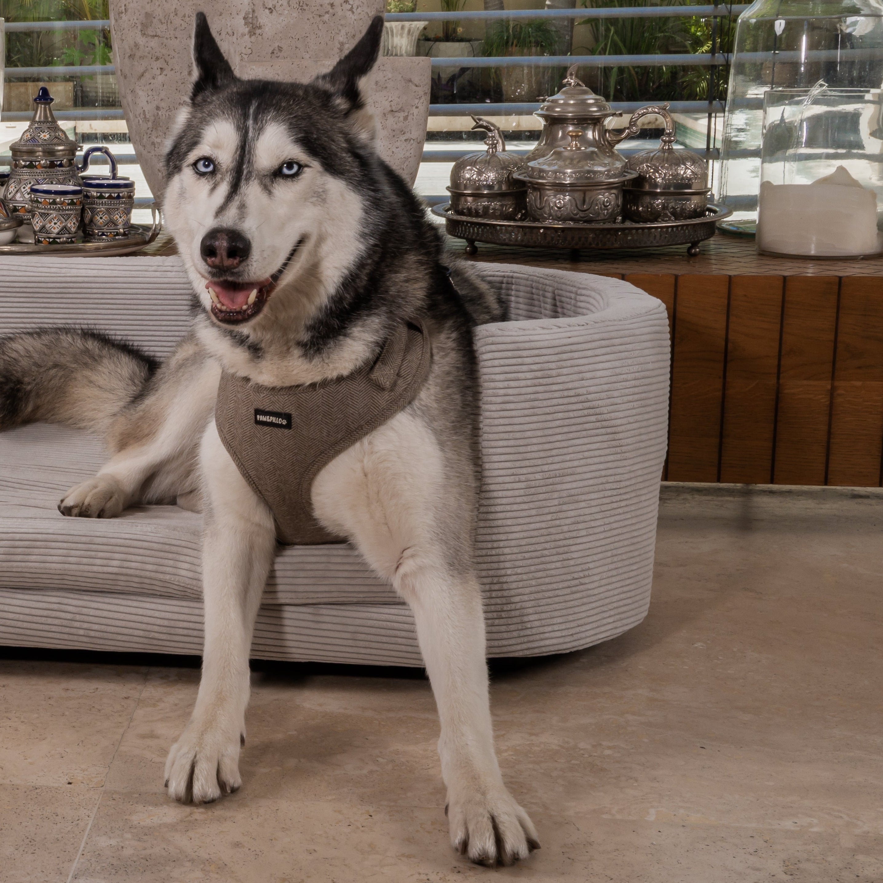 Luxury bed for dog - Corduroy