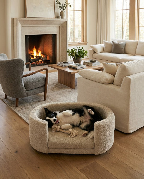 אביב רוזינסקי